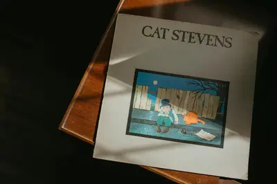 a book with a picture of a boy and a cat at Creekside Villa in Canmore