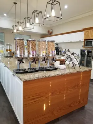 a kitchen with a counter with four fermentation jars on it at Western Budget Motel Leduc #3 in Leduc