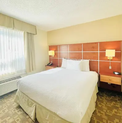 a large bed in a hotel room with two lamps at Days Inn by Wyndham Grande Prairie in Grande Prairie