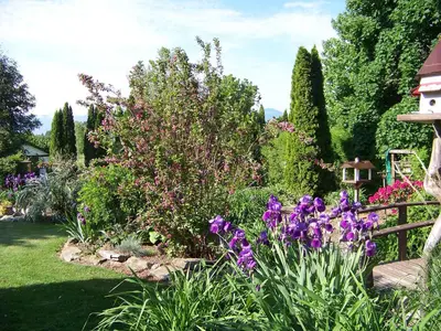 a garden with purple flowers and a fence at Bavarian Orchard Motel in Creston