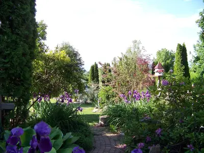 a garden with purple flowers and a pathway at Bavarian Orchard Motel in Creston