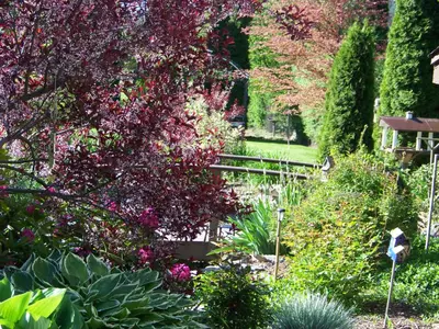 a garden with a wooden fence and many plants at Bavarian Orchard Motel in Creston
