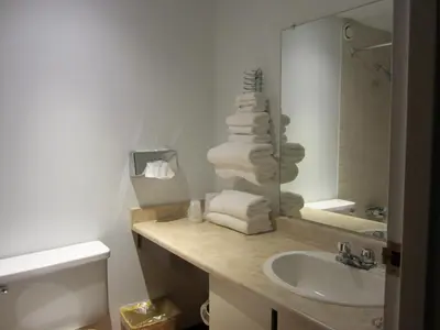 a bathroom with a sink and a pile of towels at Moby Dick Inn in Prince Rupert