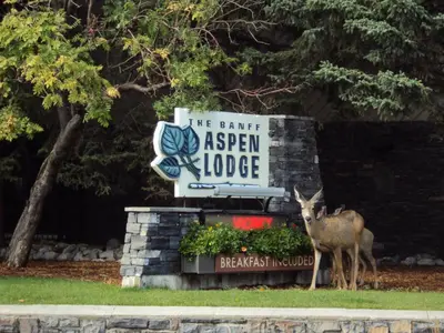 a deer standing in front of a sign at Banff Aspen Lodge in Banff