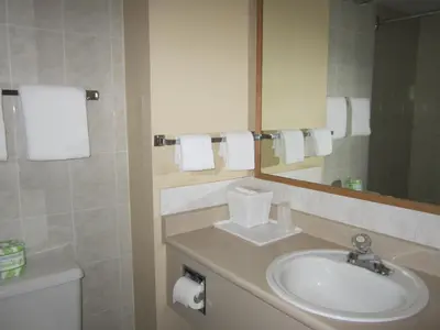 a bathroom with a sink and a mirror and a toilet at Star Lodge in Kamloops