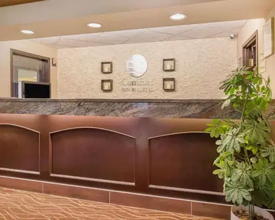 a reception desk in a hospital lobby at Comfort Inn & Suites University in Calgary