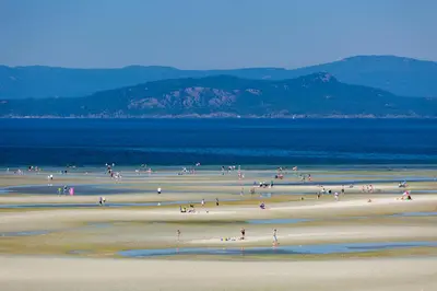 a group of people on a beach near the water at The Beach Club Resort — Bellstar Hotels & Resorts in Parksville