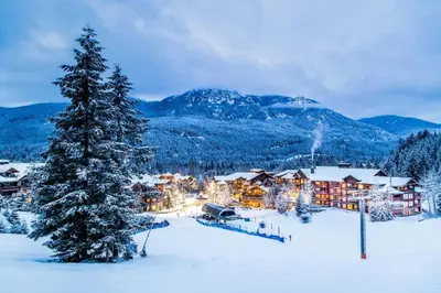 a lodge in the snow with a christmas tree at Evolution Whistler, by Lodging Ovations in Whistler