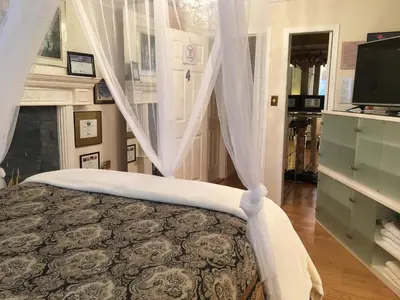 a bedroom with a bed with curtains and a fireplace at Diana's Luxury Bed and Breakfast in Vancouver