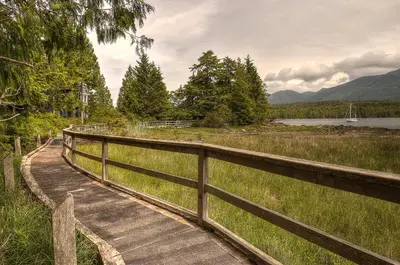 a wooden boardwalk leading to a body of water at Waters Edge Shoreside Suites in Ucluelet