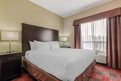 a large bed in a hotel room with a large window at Best Western Plus Red Deer Inn & Suite in Red Deer
