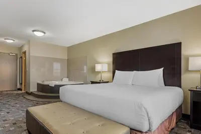 a bedroom with a large bed and a bath tub at Best Western Plus Red Deer Inn & Suite in Red Deer