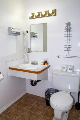 a bathroom with a toilet and a sink and a mirror at Spanish Villa Resort in Penticton