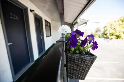 a wicker basket with purple and white flowers on a balcony at Grandview Motel in Kamloops