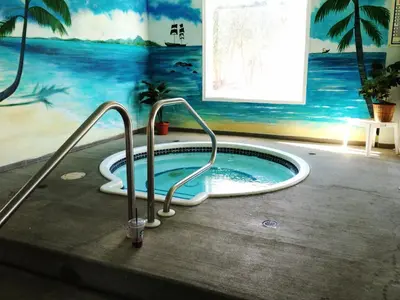 a jacuzzi tub in a room with a painting at Country View Motor Inn in Kamloops