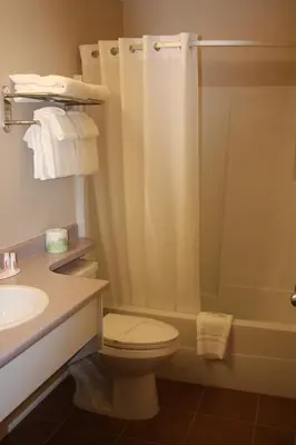 a bathroom with a toilet and a shower and a sink at Sage Inn Merritt BC in Merritt