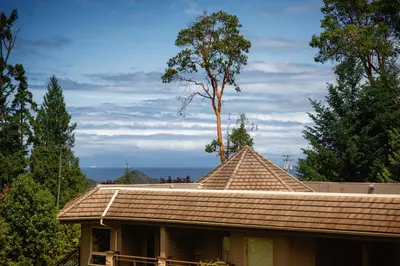 a house with a tree on top of it at Sunrise Ridge Waterfront Resort in Parksville