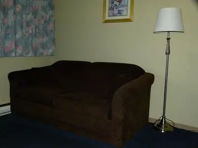 a brown couch in a living room with a lamp at Schell Motel in Vernon