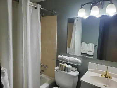 a bathroom with a toilet and a sink and a shower at Super 8 by Wyndham Duncan in Duncan