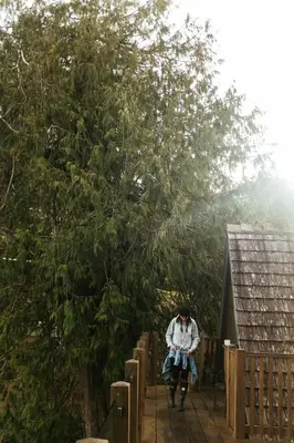 a man sitting on a wooden bridge under a tree at The Shoreline Tofino in Tofino