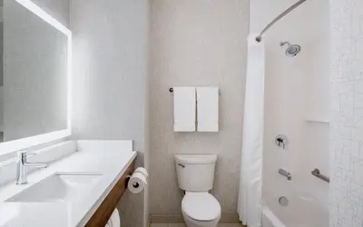 a bathroom with a toilet and a sink and a shower at Holiday Inn Express & Suites Kelowna - East by IHG in Kelowna