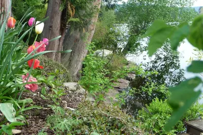 a garden with flowers and a tree at Cycle Inn Bed and Breakfast in Langford