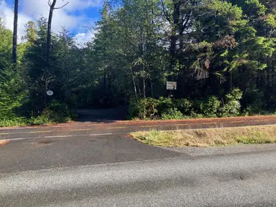 an empty parking lot next to a road with trees at Sienna's Tree House (Tall Trees And Salty Breeze) in Tofino
