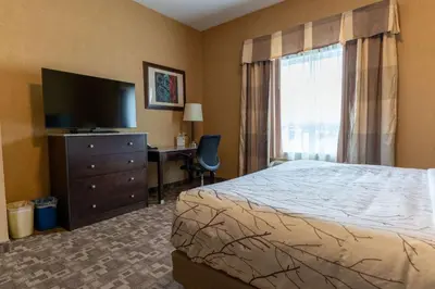 a hotel room with a bed and a desk and a television at Best Western Plus South Edmonton Inn & Suites in Edmonton