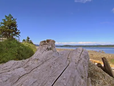 a large rock sitting on a beach near the water at Heron's Landing Hotel in Campbell River