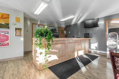 a lobby with a bar with a green plant at Empire Inn & Suites in Red Deer