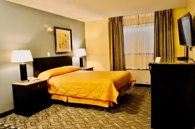 a hotel room with a bed and a television at Lacombe Motor Inn in Lacombe