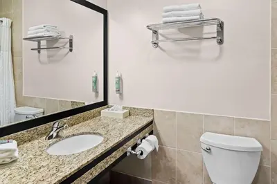 a bathroom with a sink and a toilet and a mirror at Best Western Maple Ridge in Maple Ridge District Municipality