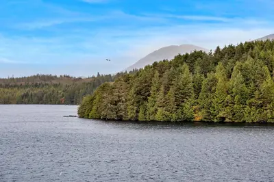a large body of water with a bunch of trees at Black Rock Landing in Ucluelet