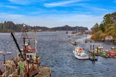 a group of boats docked in a body of water at Black Rock Landing in Ucluelet