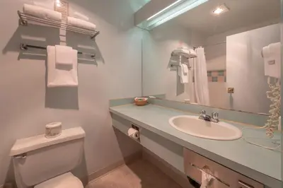 a bathroom with a sink and a toilet and a mirror at The Cedars Inn Hotel & Convention Centre in Gibsons