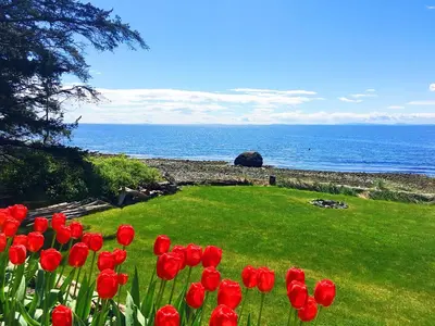 a group of red tulips in a field near the ocean at Bonniebrook Lodge in Gibsons