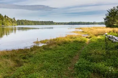 a view of a body of water with trees and grass at Hotel Zed Tofino in Tofino