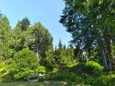 a park with trees and a bench in a field at Dolphin Motel in Tofino