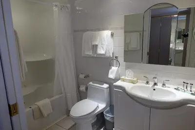 a bathroom with a toilet and a sink and a shower at Chateau Louis Hotel & Conference Centre in Edmonton