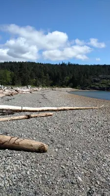 a group of logs laying on a rocky beach at Nestledown B&B in Halfmoon Bay