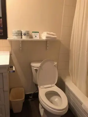 a bathroom with a white toilet and a shower at Thriftlodge Edmonton in Edmonton