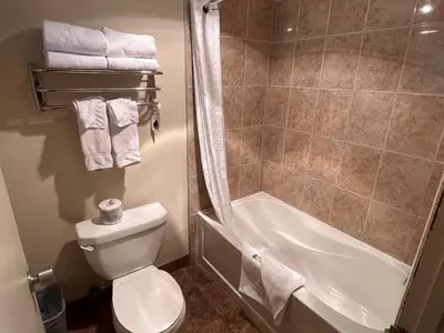 a bathroom with a toilet and a shower and a tub at BCMInns - Peace River in Peace River