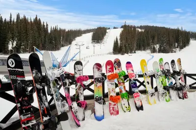 a row of snowboards lined up on a ski slope at Sundance Lodge in Sun Peaks