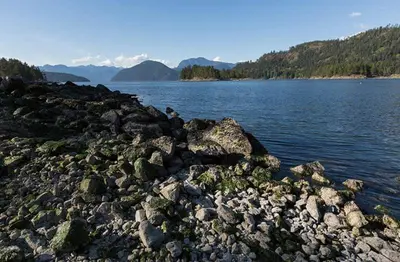 a large group of rocks on the shore of a lake at Backeddy Resort and Marina in Egmont