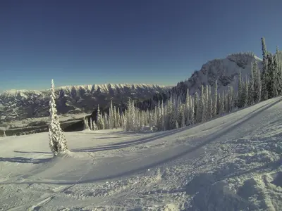 a snow covered slope with a tree in the middle at Fernie Slopeside Lodge in Fernie