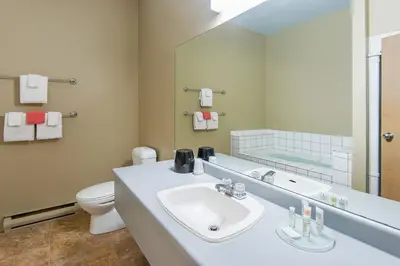 a bathroom with a sink and a toilet and a mirror at Fernie Slopeside Lodge in Fernie
