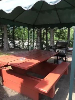 a picnic table with an umbrella and a grill at Copper River Motel in Terrace