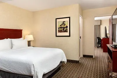a hotel room with a bed and a television at Holiday Inn Express Edmonton North by IHG in Edmonton