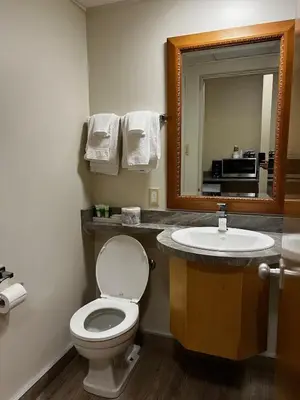 a bathroom with a toilet and a sink and a mirror at Athabasca Valley Inn & Suites in Hinton