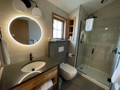 a bathroom with a sink and a toilet and a mirror at Bear Hill Lodge in Jasper